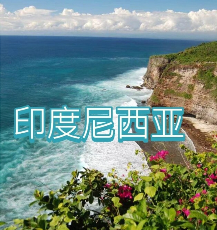 际电商(印尼)产业博览会冰球突破2025中国国(图2)