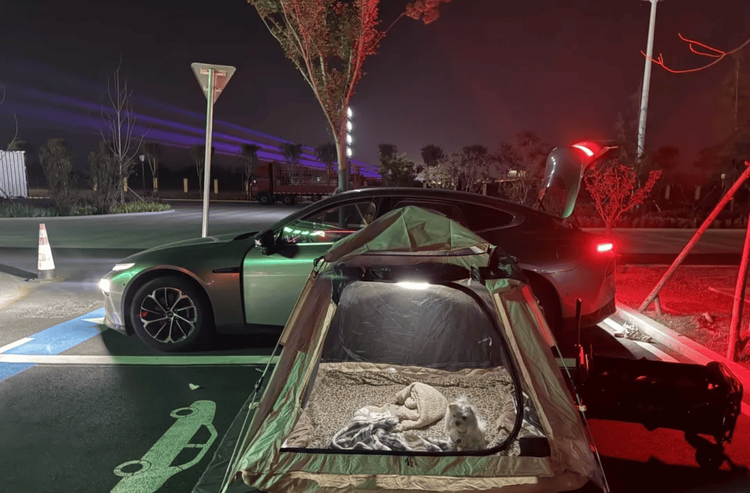 国庆期间年轻人旅行掀起“帐篷过夜”热潮冰球突破豪华版app不